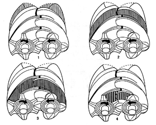 Working Cycle